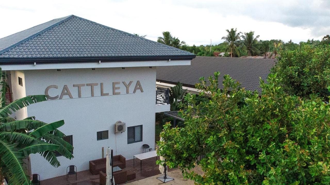 Bohol Cattleya Resort Panglao Exterior foto